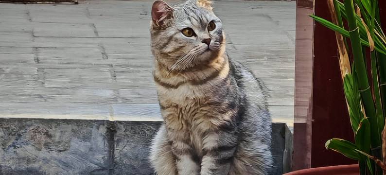 康泰居客栈(平遥古城店)图片