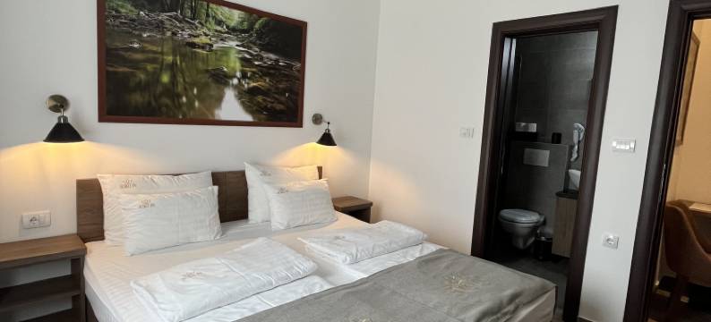 索科温泉酒店(Soko In Spa)图片