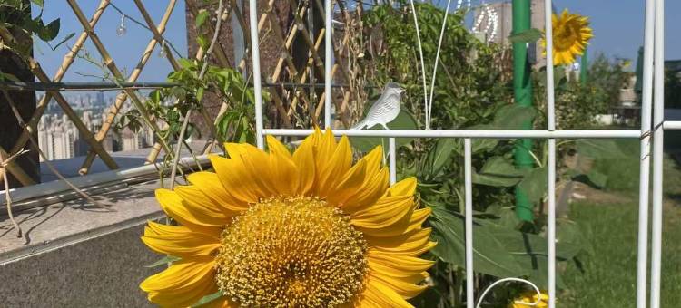 希岸酒店(银川天鹅湖王府井店)图片