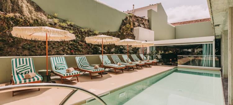 托雷尔·特拉·布拉瓦(Torel Terra Brava)图片