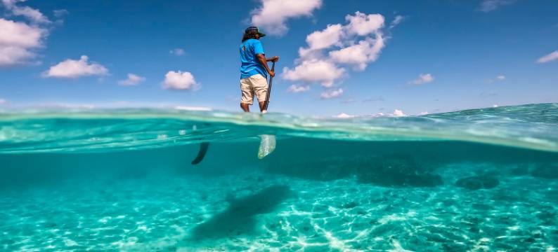 马尔代夫羽毛酒店(Plumeria Maldives)图片