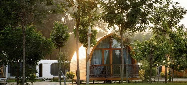 星野山庄(民丰特色商业街店)图片