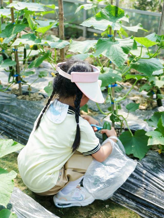 安吉尧珈·山禾稻度假酒店图片