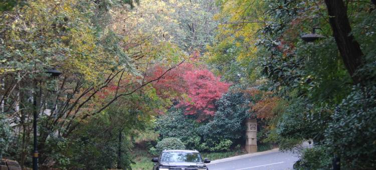 洛阳东山宾馆图片