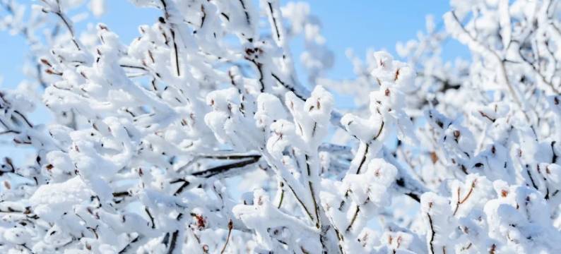 阅山云上.270°山景溯溪Villa度假美宿(安吉云上草原游客中心店)图片