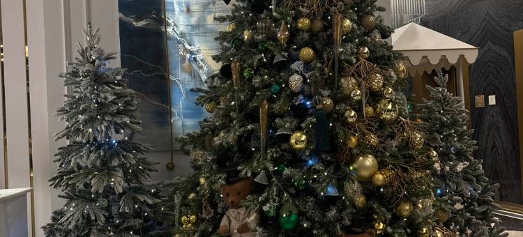 莫斯科万豪帝国广场酒店(Moscow Marriott Imperial Plaza Hotel)图片