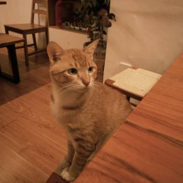 悦涧·闽南厝里艺宿酒店(漳州古城北京路店)图片