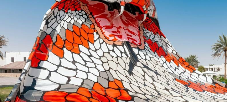 阿尔艾茵丽笙蓝标酒店及度假村(Radisson Blu Hotel and Resort Al Ain)图片