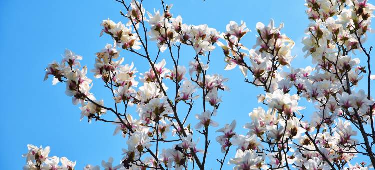 花筑·其间·咖啡民宿 (西湖区灵隐寺店)图片