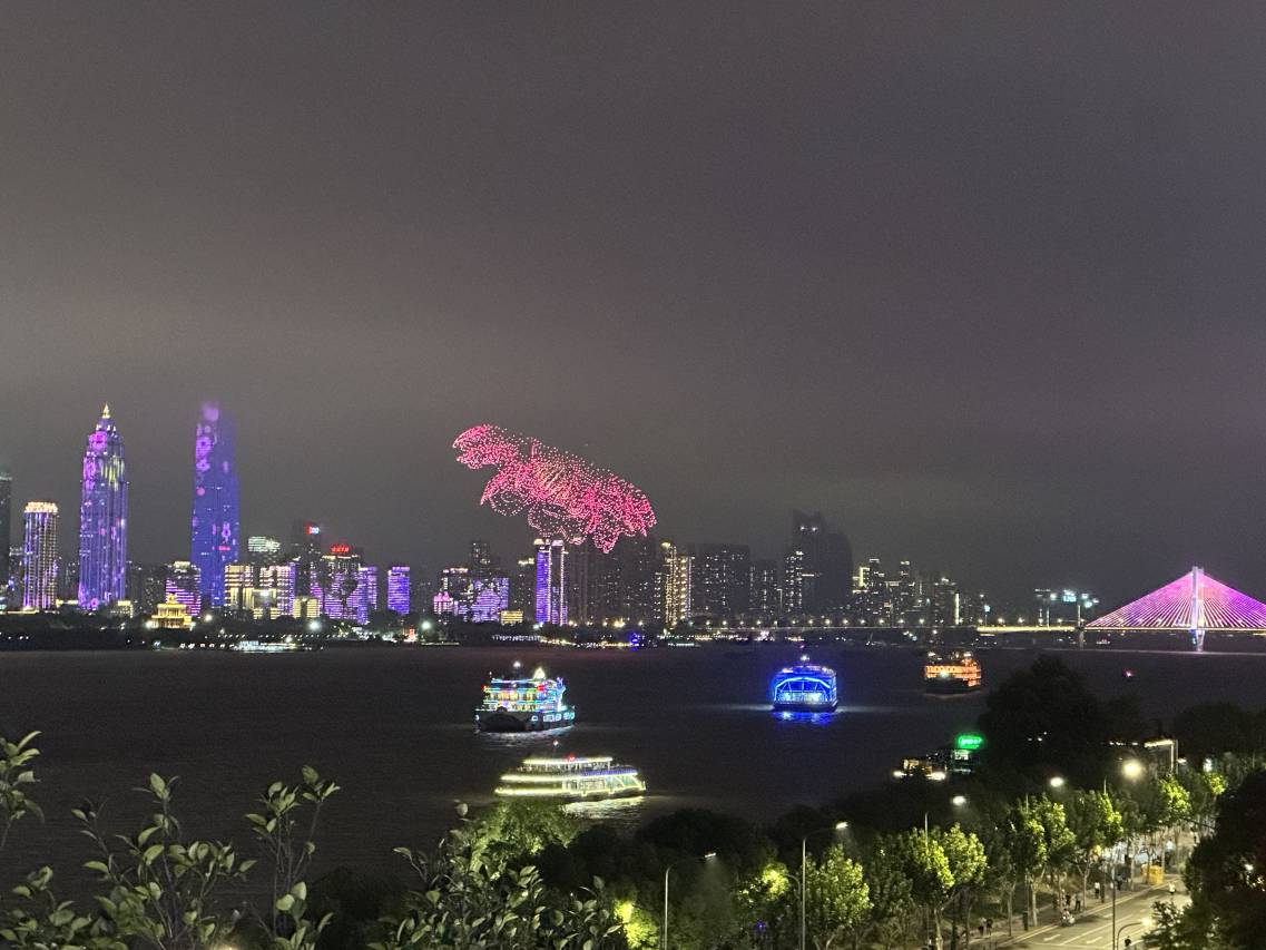 海格瑞一线江景公寓(积玉桥地铁站锦坤公寓楼店)图片