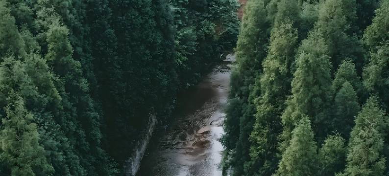 Shimmer·禾竹美宿(习水县政府店)图片