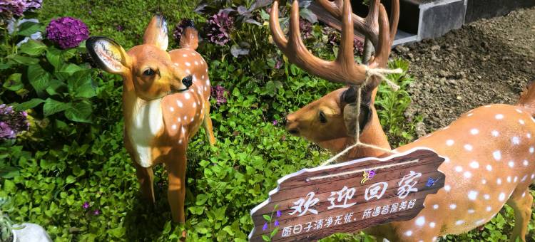 蜜月谷民宿图片