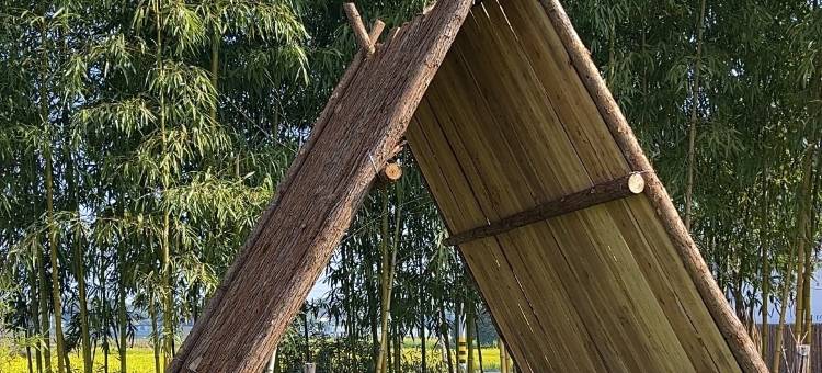 歙县韬庐精舍徽文化精品民宿图片