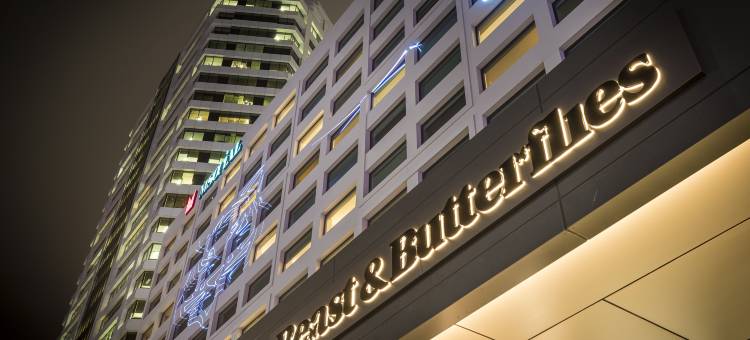 奥克兰千琇悦酒店(M Social Auckland)图片