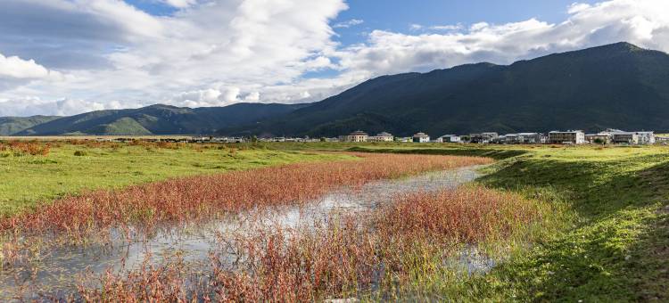 香格里拉青雨·见山归璞庄园(纳帕海景区店)图片