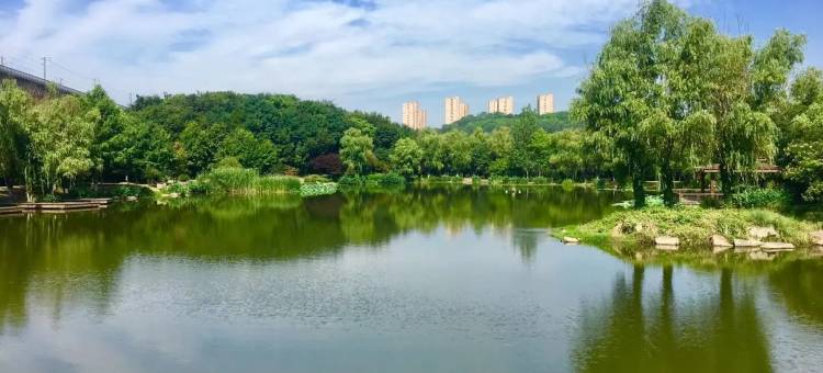 臻园小栈(聚宝山地铁站店)图片
