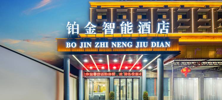 铂金智能酒店(东方板桥镇店)图片