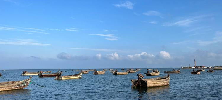 临海居海景民宿(荣成百合湾景区店)图片
