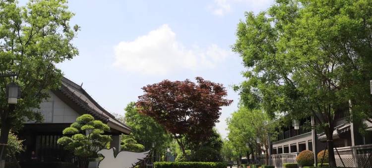 曲阜鲁能JW万豪酒店图片