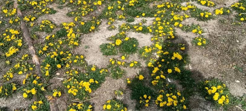 额尔古纳恩和恒益客栈图片