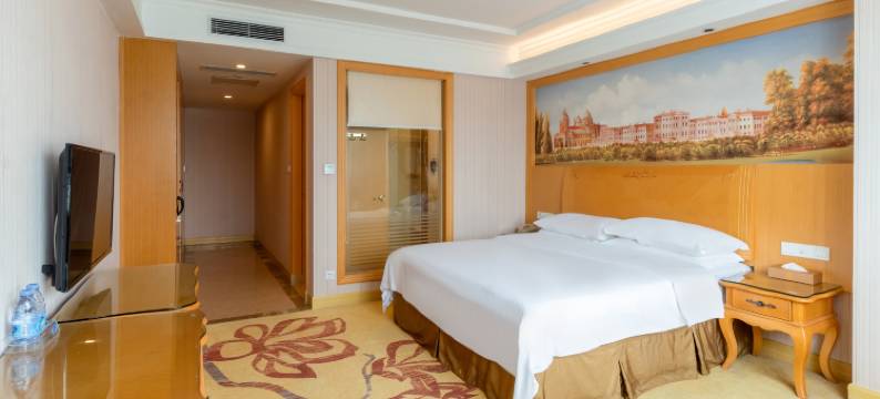 维也纳酒店(深圳南山珠光地铁站店)图片