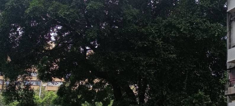 惠惠住宿(灵芝地铁店)图片