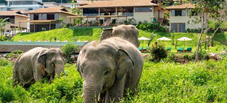野生小屋大象保护区度假村(Wild Cottages Elephant Sanctuary Resort)图片