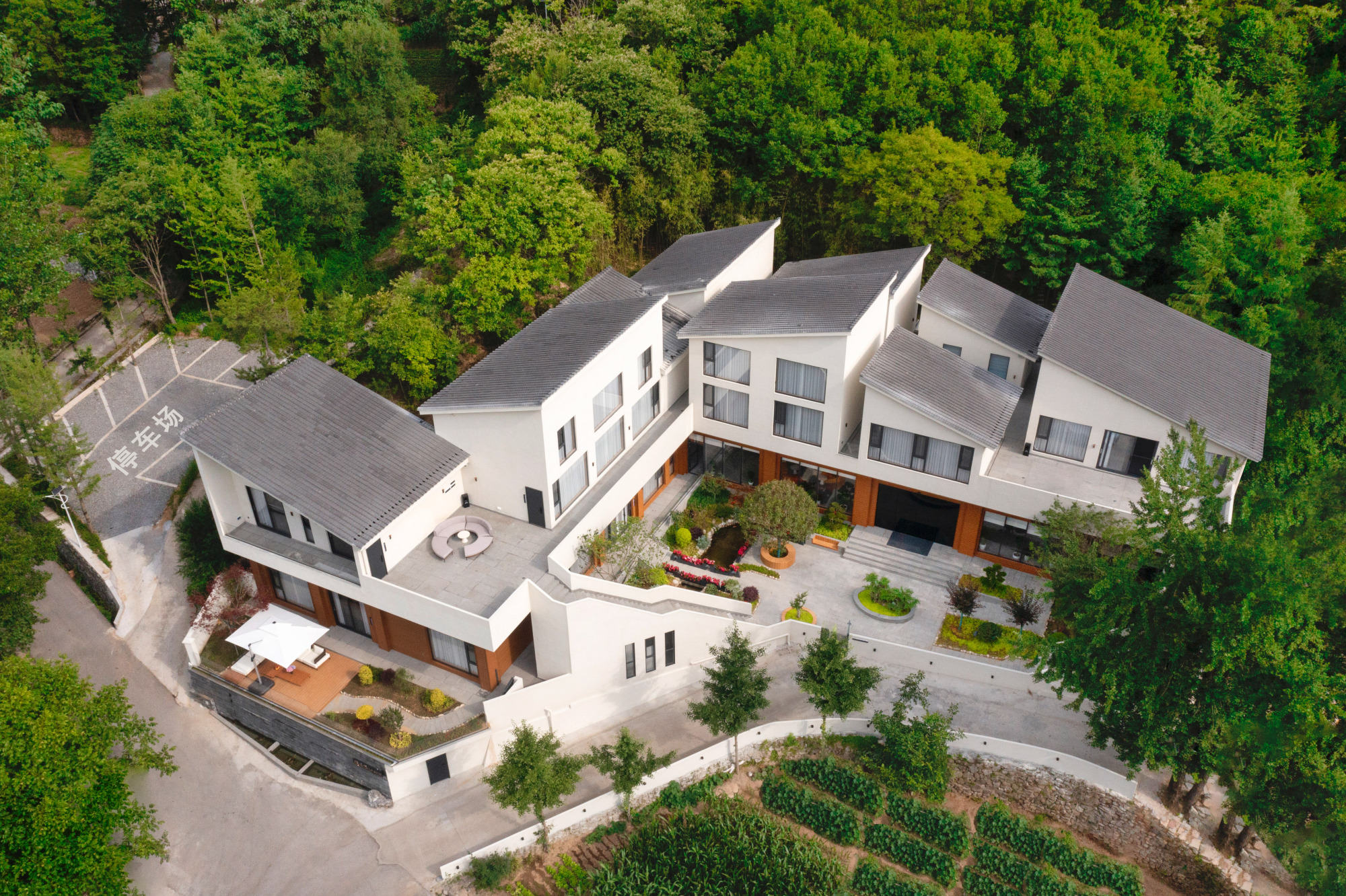 Liuba Mountain and Twelve Habits Over view