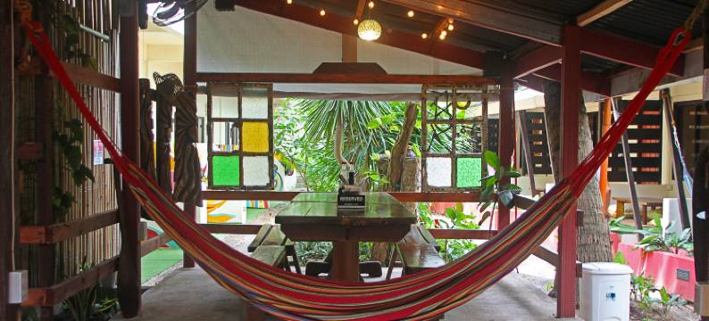 懒狗床和早餐酒店(Lazy Dog Bed & Breakfast)图片