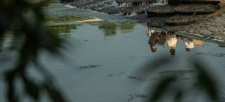 安吉碧海民宿图片