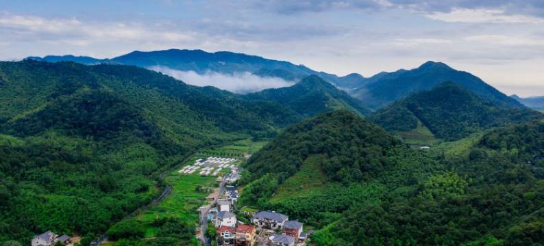 在村上·莫干山温泉度假民宿(萤火虫基地店)图片