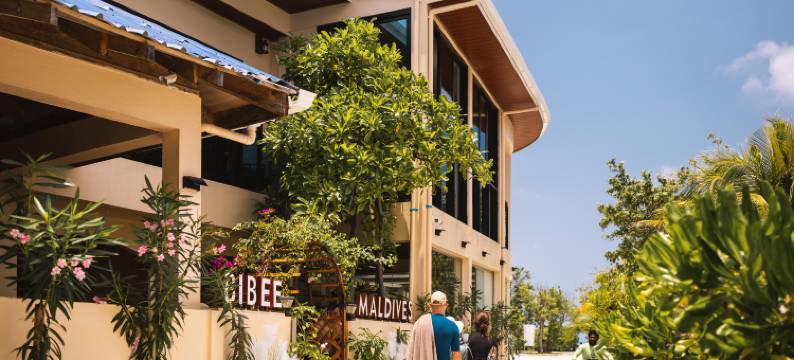马尔代夫迪弗西比比酒店(Bibee Maldives)图片