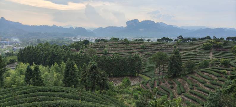 武夷山融景墅酒店(景区南入口店)图片