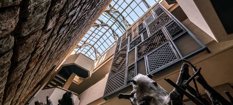 树几山舍(云海日出观景台店)图片