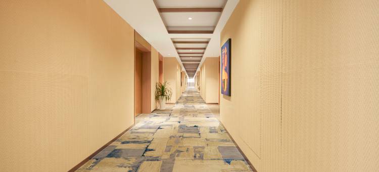 上文旅雷迪森颐墅酒店图片