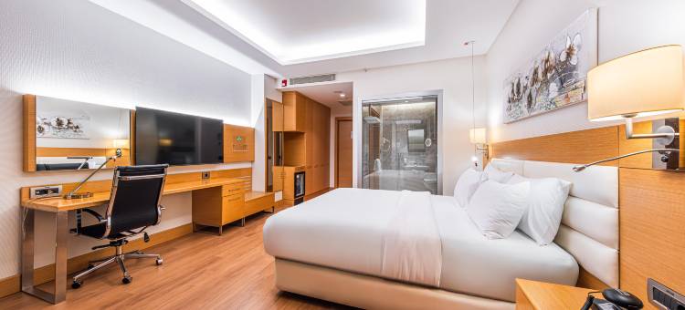 安卡拉库库姆巴尔假日酒店(Holiday Inn Ankara - Cukurambar)图片