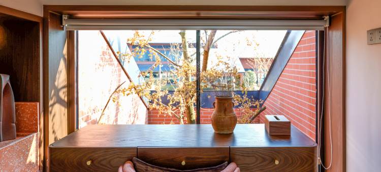 阅湖·杏花村图片