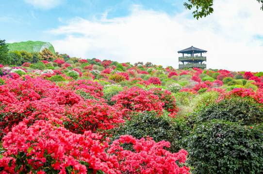 惠州千花洲度假酒店图片