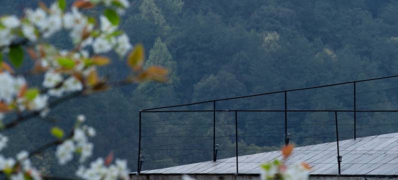 彭水莫扰山二淡公社民宿图片