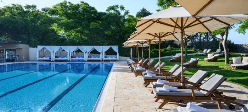 卡梅尔森林 - 伊斯罗泰尊爵酒店(Carmel Forest by Isrotel Exclusive)图片