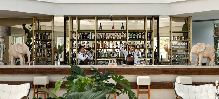 白宫卢克斯米格雷科泰尔 - 全包式(Grecotel LUXME White)图片