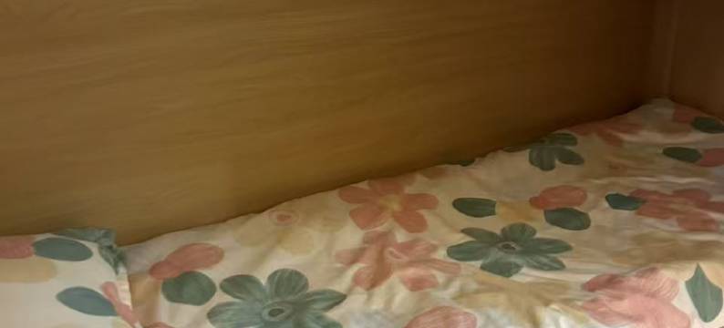 十麦纯女生青年旅舍(广州北京路步行街店)图片