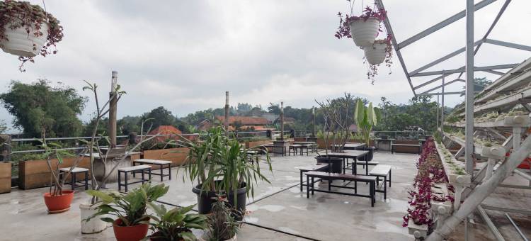 因萨尼西萨鲁阿彭卡克伊斯兰都市景观酒店(Urbanview Hotel Syariah Insani Cisarua Puncak)图片