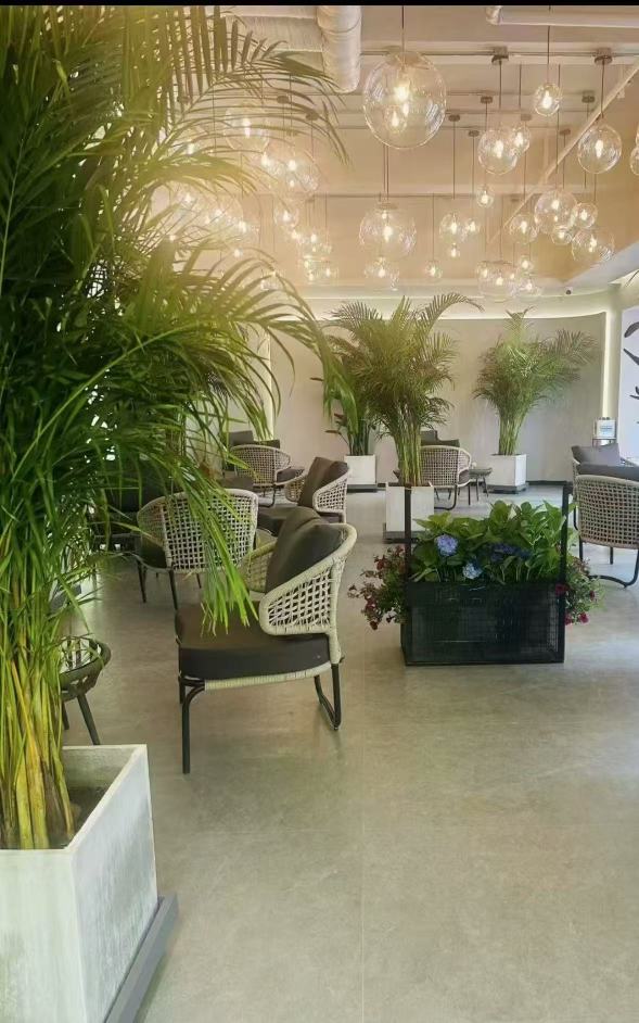 Riyueming · City Box Hotel (Dalian Railway Station Zhongshan Square Branch)Over view