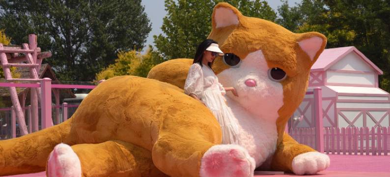 渔岛菲奢尔森泽苑图片