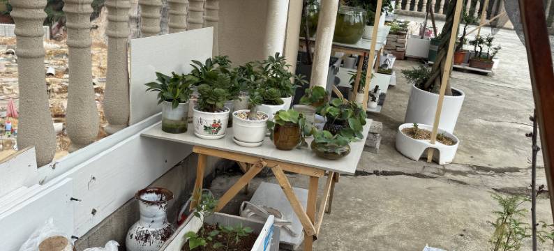 安顺镇宁畔山酒店图片