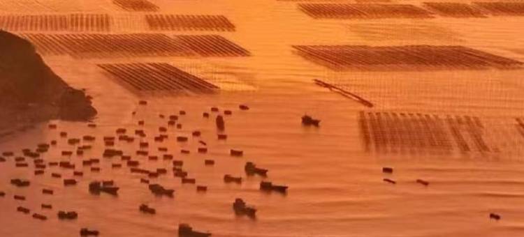 花筑·馨怡海景民宿(东壁小皓海滩店)图片