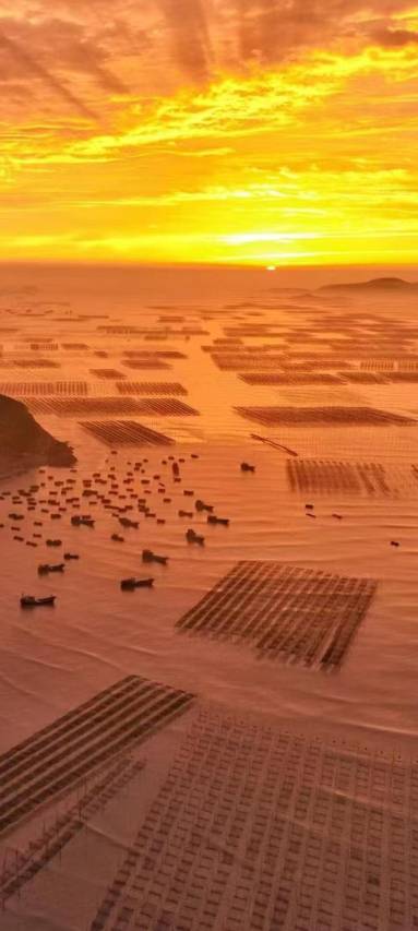 花筑·馨怡海景民宿(东壁小皓海滩店)图片