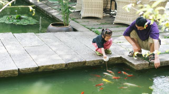 清晖会馆民宿(阳朔遇龙河生态公园千古情店)图片