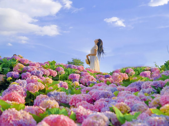 云上星野·花园丨SoongCinemaBathub设计师美宿(昆明火车站店)